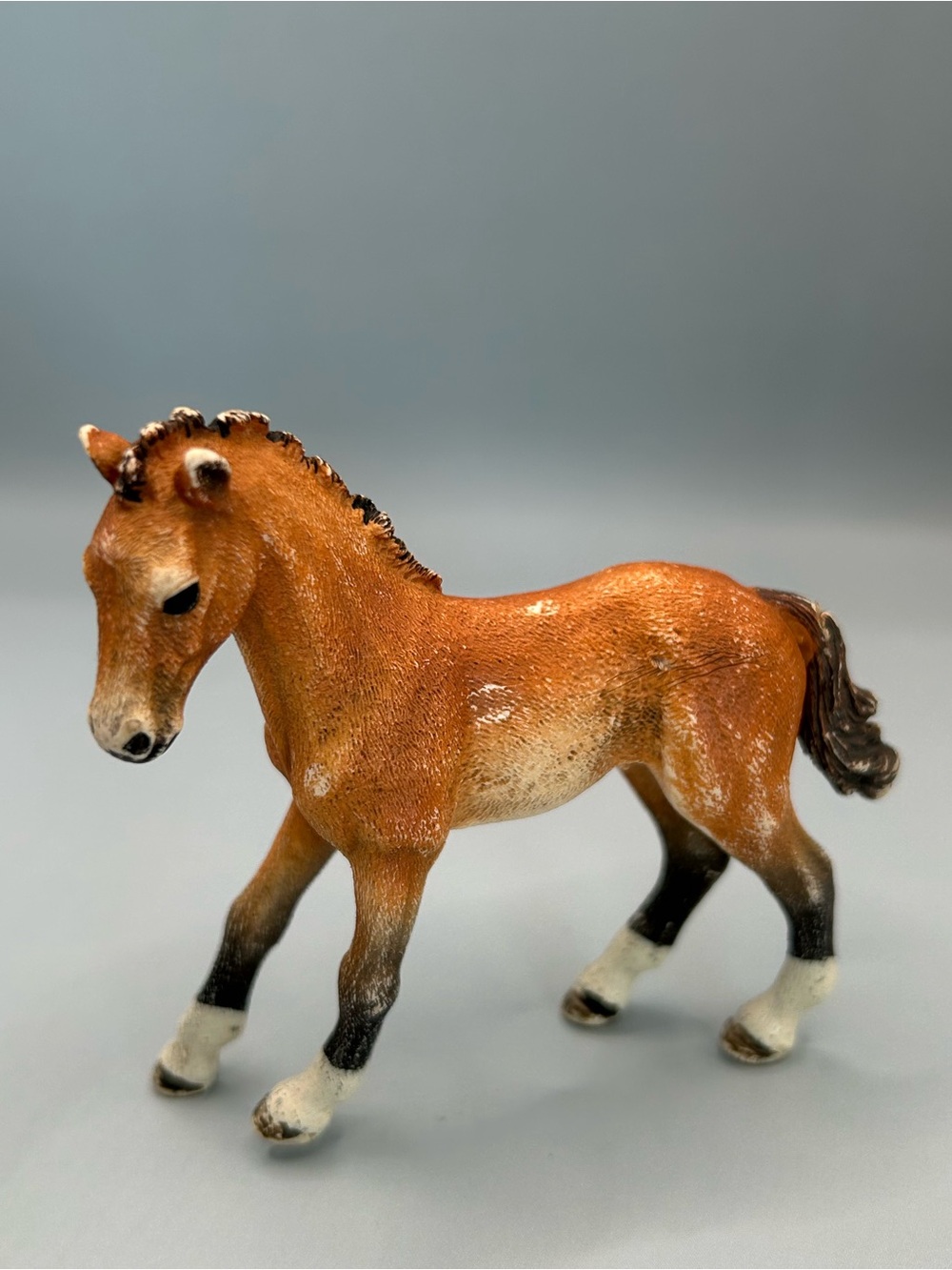 Schleich  Farm Animal World Tennessee Walker Foal Horse Pony Toy Figure 2015